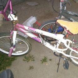 Girls Bike 20in
