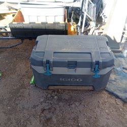Igloo Cooler 