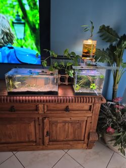 Aquarium products