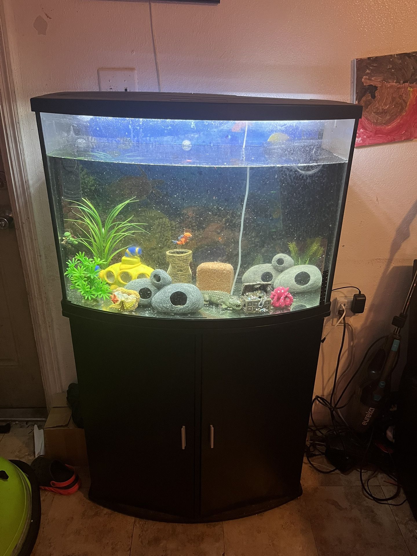 36 Gallon Fish Tank And Stand 