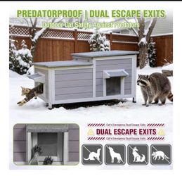 Cat House