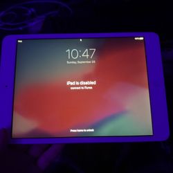 Ipad mini