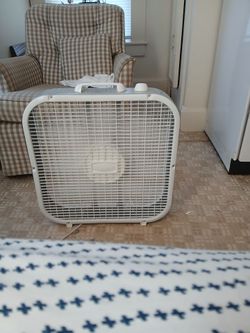 Fan