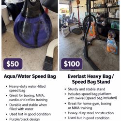 Speed Bag Standing  