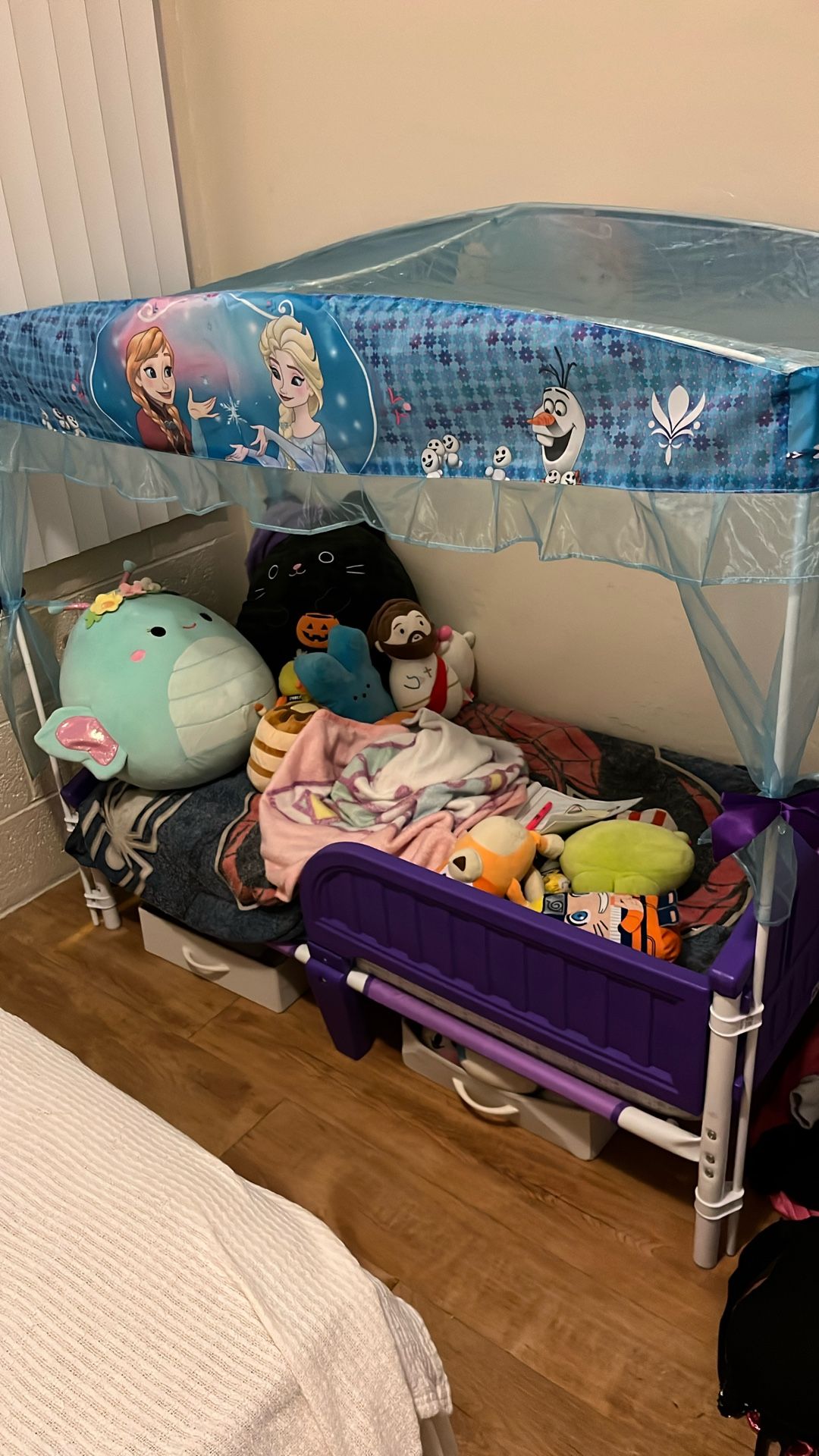 Girl’s Toddler Bed With Canopy .