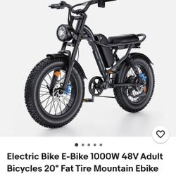 ELECTRIC BIKE "Riding Times Z8 Pro "
