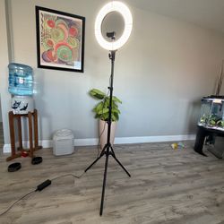Sunpak ring light