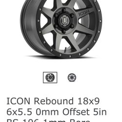 Icon Rebound Rims