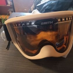 Ski Googles 