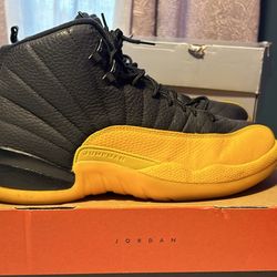 Jordan 12s University 