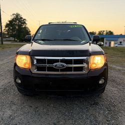 2010 Ford Escape XLT