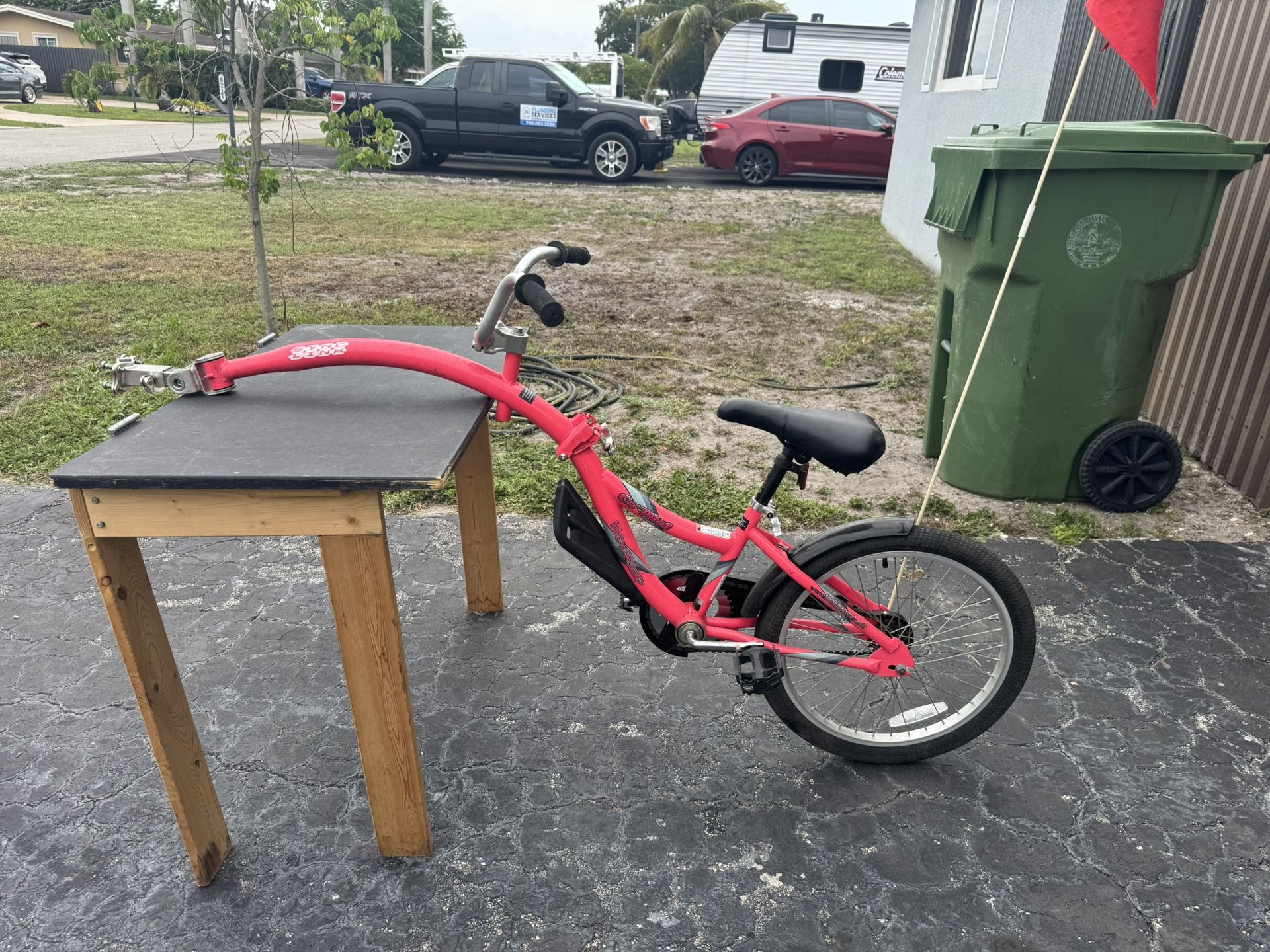 Co Pilot Trailer Bike