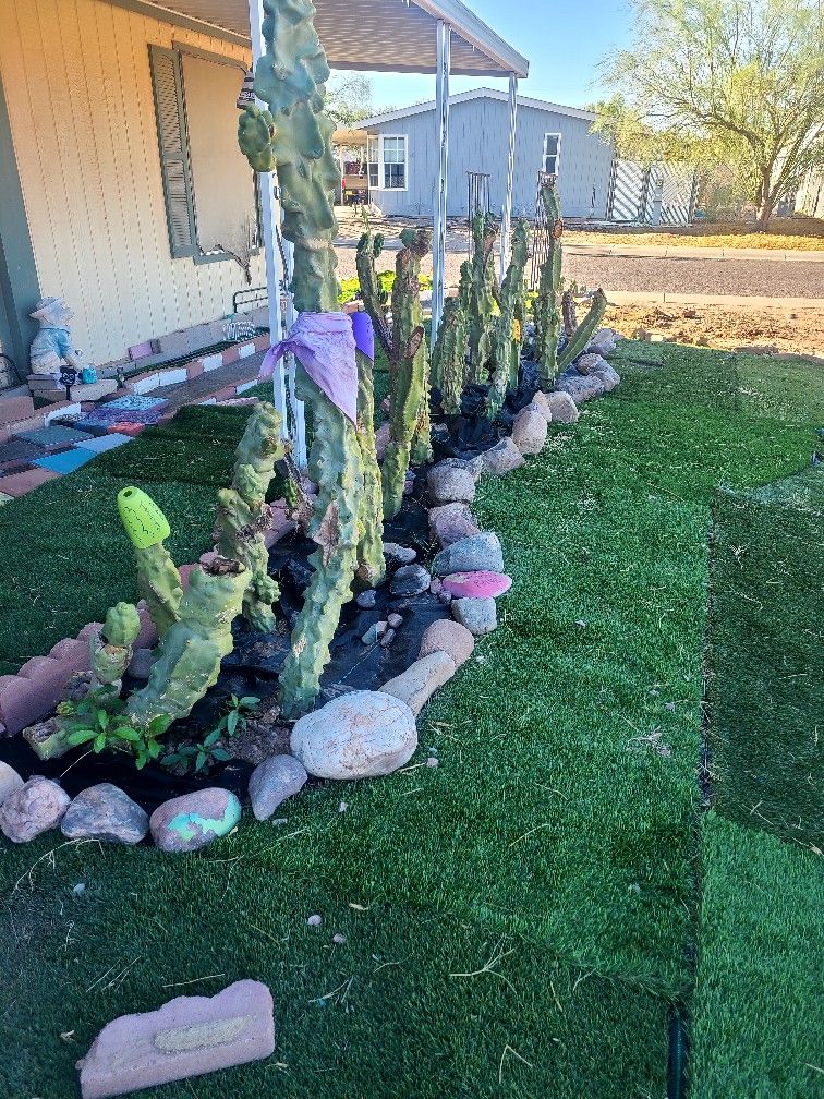 Totem Pole Cactus Cuttings, Up To 3 Ft