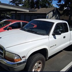 1999 Dodge Dakota