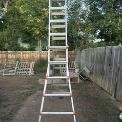 Little Giant Ladder 