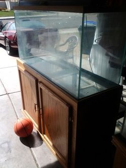 Fish tank and the stand and the top