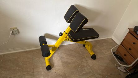 Biceps , crunches and lower back machine