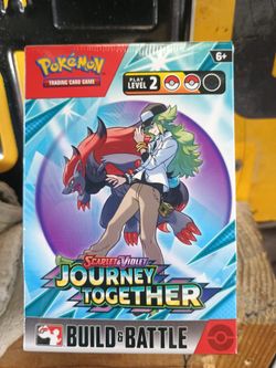 Pokémon Journey Together