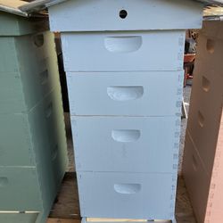 BEE HIVE