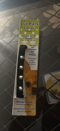 NEW Black Spiked Dog Collar for Small Dogs