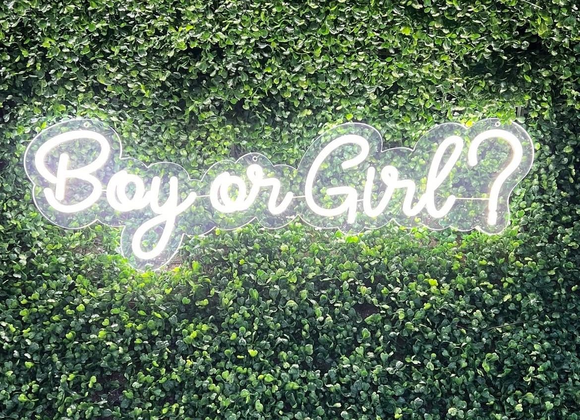 Boy Or Girl Neon Sign