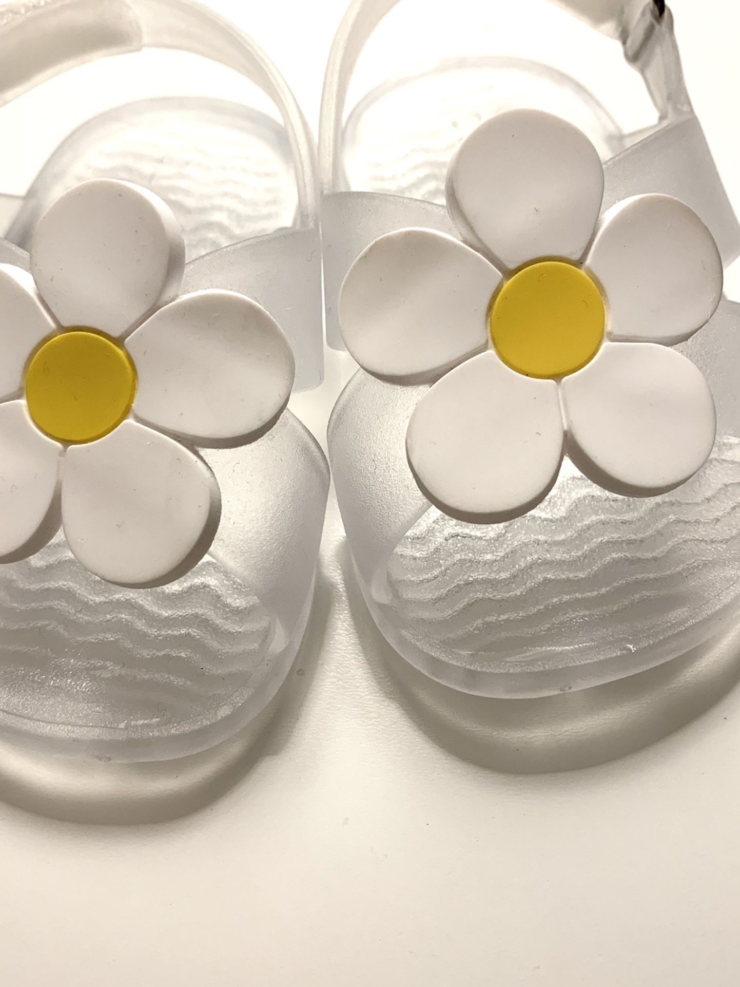 White Daisy