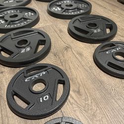 BRAND NEW Full Set Of Cast Iron Weight Plates  from 5s to 45s [Total: 245 lbs] 