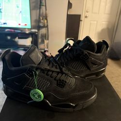 Black Cat 4’s