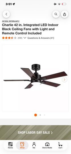 Breezary Charlie 42 in. Black Ceiling Fan with Light