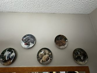 Collection Plates
