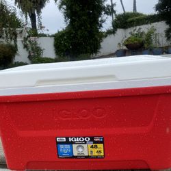 Cooler-Igloo 48 Quart