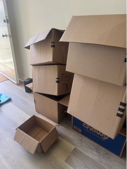 Cardboard boxes