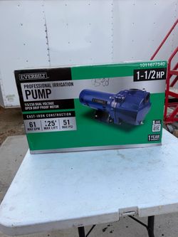 Everbilt 1 1/2 HP Irrigation pump