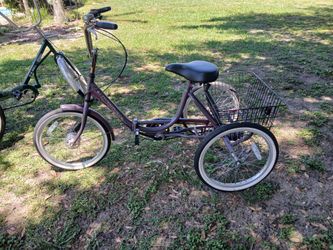 Adventure  trike