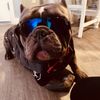 Bruno➡️CheckMyPage4GreatDeals