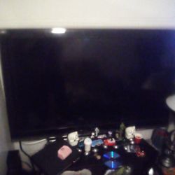 46 Inch Toshiba TV 2010 Year