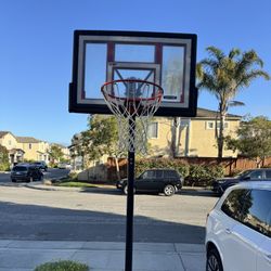 Lifetime 46-Inch Shatterproof Portable Basketball Hoop with Strong Arm Adjustment