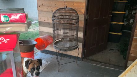 cage