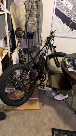 Electric bike