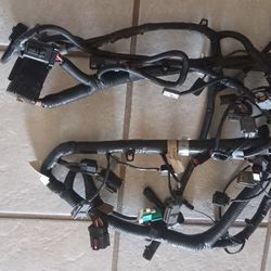 Mustang GT Engine & Injector Harness,  Brand New .fits '96 To '98 GT 