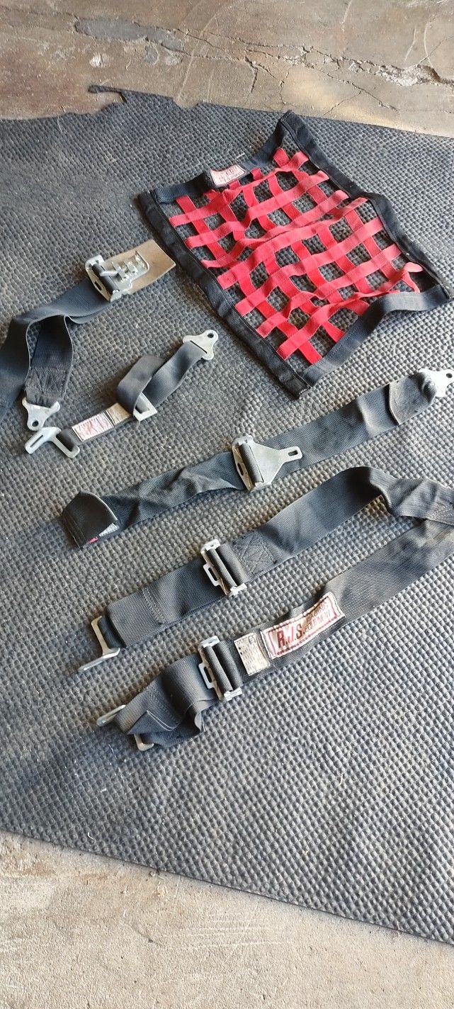 racing safety harness and window net