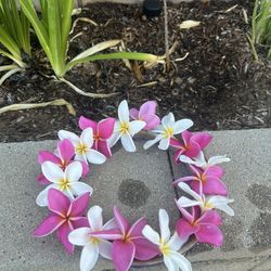Lei Vases