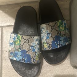 Woman’s Shoes 