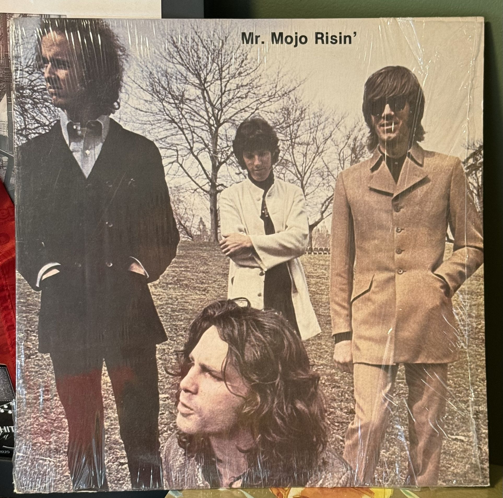 The Doors - Mr.Mojo Risin’ (Rare)