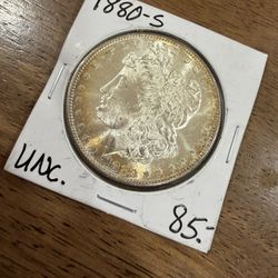 Morgan Dollar 1880