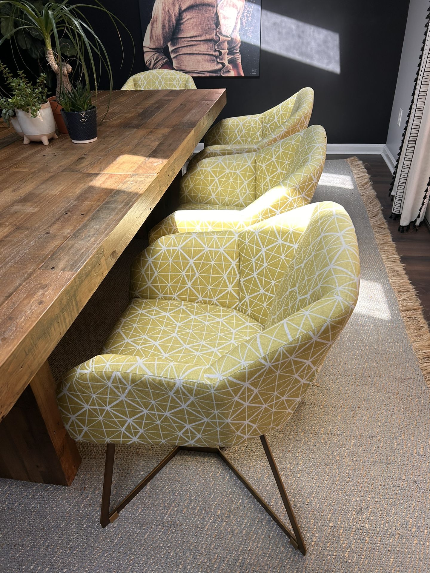 West Elm Dining Chairs