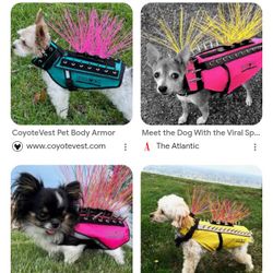 Reflective Spike Vest For Dogs 