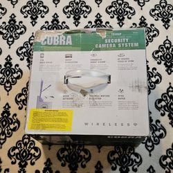 Cobra Indoor/Outdoor Security System