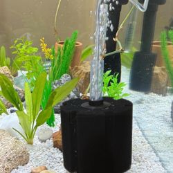 Foam Filter Fish Tank 