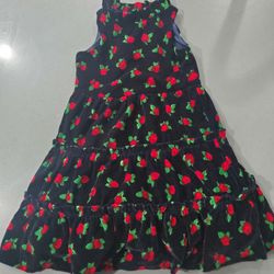 Janie And Jack Blue And Rose Velvet Dress Size 4
